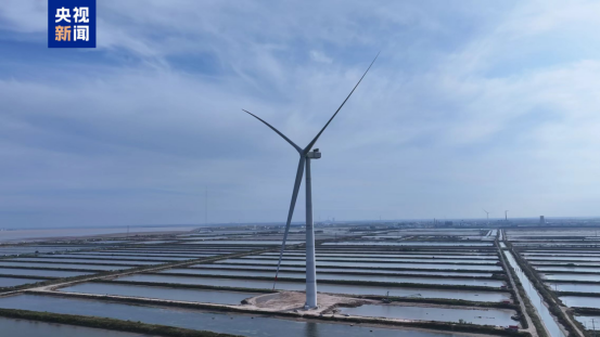 7046D2C8B3E9D87645319162D29_085B1DB7_A8520