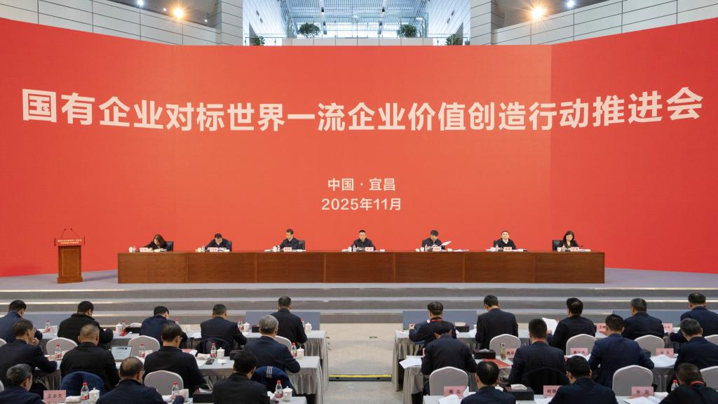 06187F0569F89D2AE2D2725085E_88B15BFE_123D8