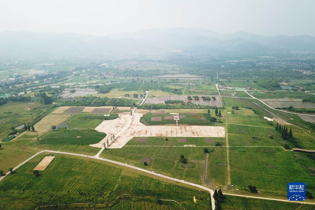 9E71C857A868EE739D182198847_5B36290F_198E7.jpg?e=