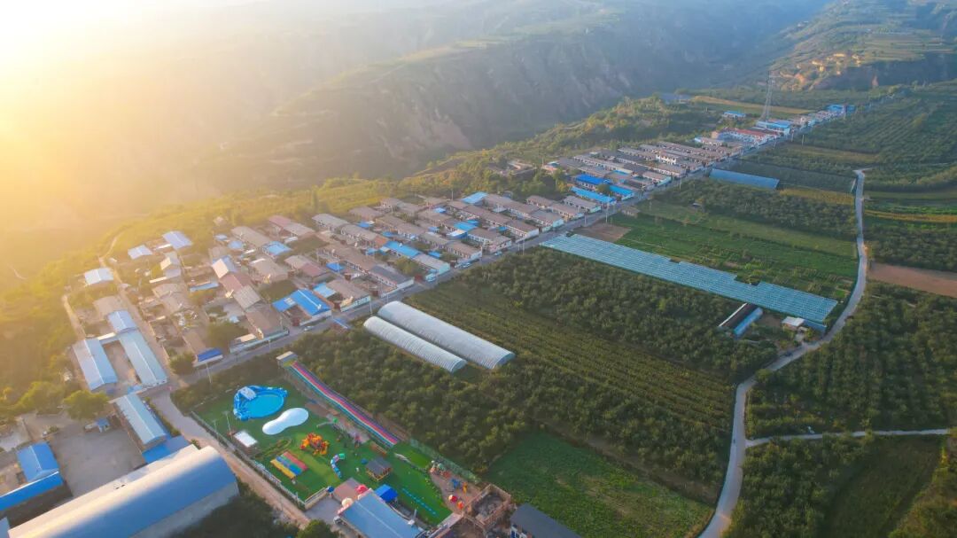 2FDA6A29DEAD019666F0576E96A_7BA98A26_18485