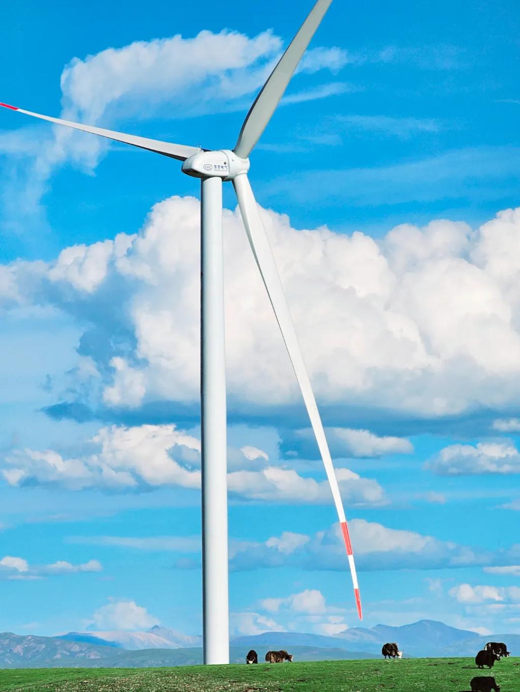 CBCA46EDF7A38BC6BE87C781519_22F648B9_19C53