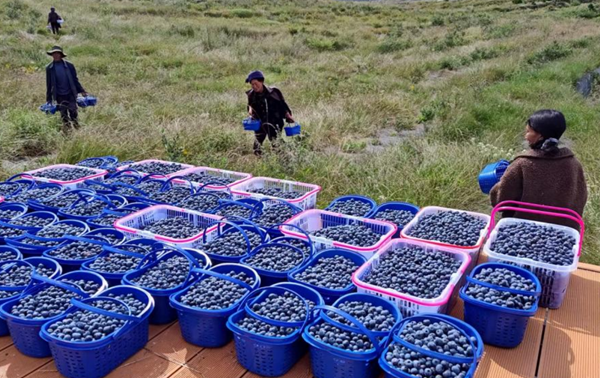 EDC1E220063CC98965CE244AAA8_695FEB6E_7C0EC